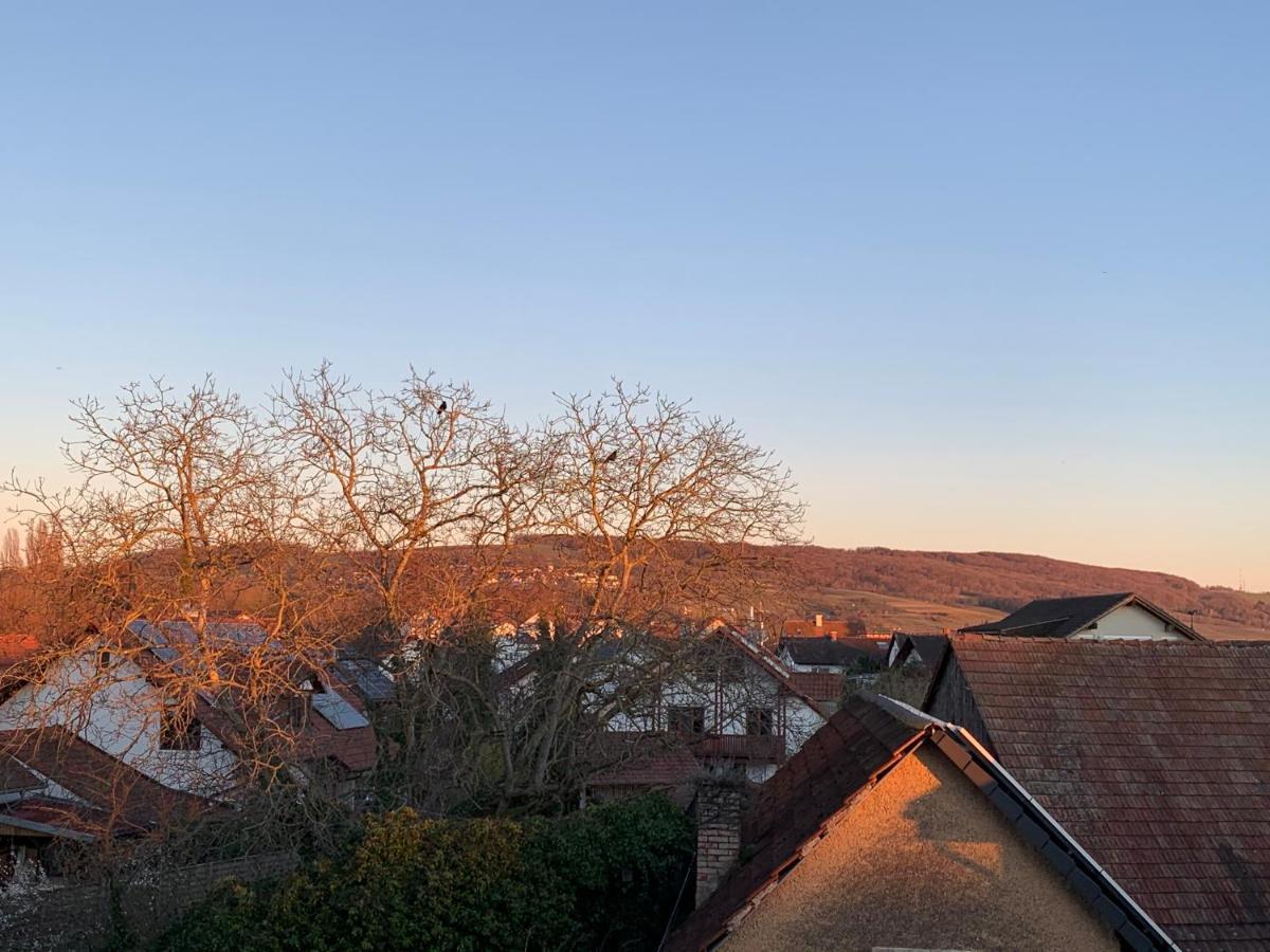 Ferienwohnung Baselblick, Eimeldingen 外观 照片